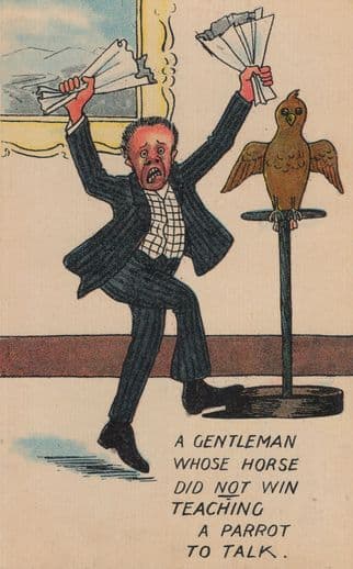 Antique Gambling Bad Horse Race Loser Comic Parrot Bird Old Postcard