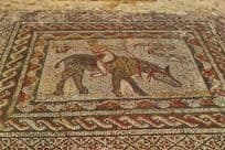 Antique Rome Roman Mosaic Snake In Morocco Postcard