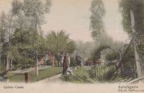 Antofagasta Quinta Casale Antique Chile Postcard