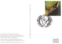 Ants At Work in London Zoo Lifting Leaf Insect PHQ Stamp Postcard