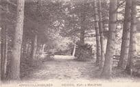 Appenzellerbilder Heiden Waldpark Switzerland Old Postcard