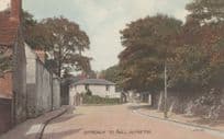 Approach To Alfreton Hall Derby Antique Postcard