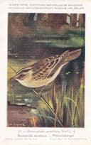Aquatic Warbler Acrocephalus Paludicola Vintage WW2 Bird Rare Postcard