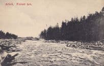 Arbra Forsso Bro Old Swedish Postcard