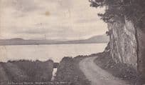 Arbutus Rock Waterville County Kerry Antique Postcard