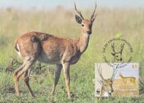 Argentinian Pampas Deer WWF Stamp First Day Cover Postcard