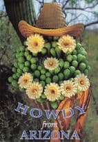 Arizona Cowboy Face Hat From Vegetables & Flowers USA Postcard
