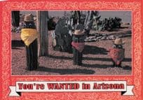 Arizona Vegetable Men Cactus Type Cowboys USA Postcard