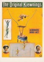 Arthur Kiewning & Wife WW1 Old Circus Wire Acrobat Act Poster Postcard