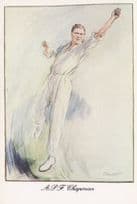 Arthur Percy Frank Chapman Cricket Kent England Painting Postcard