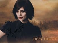 Ashley Greene Twilight Giant 12x8 Hand Signed Autograph Photo