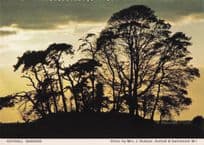 Asthall Barrow at Dusk Night Clouds Oxford Women's Institute Postcard