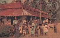 At The Road Side Ceylon House Family India Antique Postcard