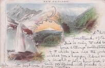 Auckland 1902 New Zealand Antique Painting Frank Postcard