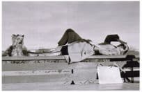 Audrey Hepburn Film ing The Unforgiven Movie Award Photo Postcard