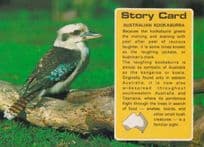 Australian Kookaburra Story Card Rare Bird Postcard
