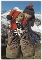 Austrian Teddy Bear In Giant Shoes Skiing Austria Postcard