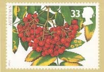 Autumn Grapes Charlotte Knox Royal Mail Stamp RMPQ Postcard