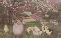 Baby Born Child Hatches From Egg Yellow Bird Antique French Greetings Postcard