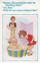 Baby Found Under The Gooseberry Bush Adam & Eve Type Comic Postcard