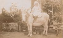 Baby Riding A Horse Donkey Real Photo Antique Postcard