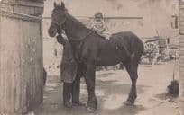 Baby Riding Horse Antique Social History Old Photo Postcard
