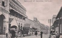 Baillie Street Colombo Ceylon India Old Postcard