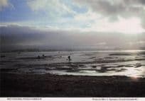 Bait Digging Poole Harbour at Dusk Dorset Women's Institute Postcard