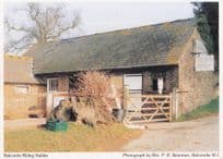 Balcombe Horse Riding Stables Farm Sussex Women's Institute Postcard