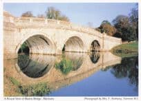 Balddon Bridge Blenheim River Reflections Oxford Women's Institute Postcard