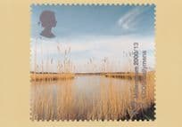 Ballymena River Harvest Gold Plants Limited Postcard