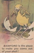 Bamford Yorkshire Bird Egg Chick Hatching Greetings Antique Postcard