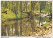 Bandley Beck Asby Cumbria Stunning Womens Institute Rare Postcard