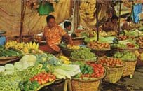 Bankok Boat Women Vendors Of Fruits In The Klong Thailand Postcard