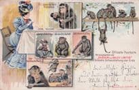 Barnum & Bailey German Circus Monkeys Chimps Antique Postcard