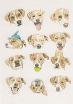 Baseball Dog Hat Tennis Ball 12 Dogs Painting Postcard