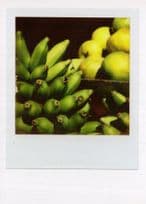 Basket Of Lemons Pears Cucumbers Analog Award Photo Postcard