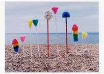 Beach Clean Sian Bonnell LGBT Gay Mops Brush Rainbow Photo Postcard