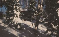 Bear Trail Inn Resort Lake Galestry Algonquin Park Canada Postcard