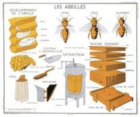 Bee Keeping Beehives Bumble Bees Les Abeilees School Chart Postcard
