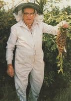 Beekeeping Owner Beekeeper at 4lb Bee Hive Swarm Bees Postcard