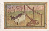 Bees With Ox & Mule at Indian Well Vintage Postcard