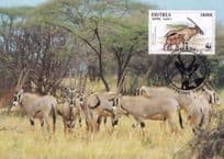 Beisa Oryx Antelope Eritria WWF Stamp FDC First Day Cover Postcard