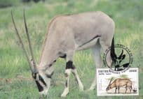 Beisa Oryx Antelope Eritria WWF Stamp First Day Cover Postcard