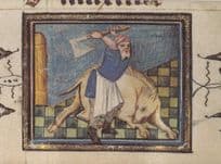 Belgium Flemish Killing Of A Pig Butcher Medieval Book Postcard