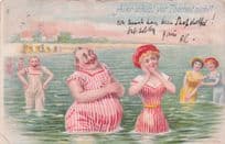 Belgium Transvestite Bathing Seaside Antique Comic Postcard