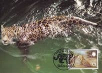 Belize Jaguar Swimming WWF Stamp First Day Cover Postcard