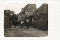 Berkshire Farm Antique Real Photo Postcard