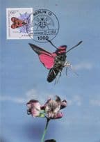 Berlin German Burnet Red Moth Insect Widderchen Rare FDC Postcard