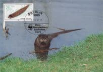 Berlin Seal Otter German First Day Cover Postcard